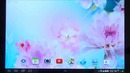 Flowers Live Wallpaper