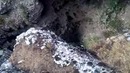 Реклама такая