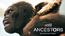 Kuplinov Play ► НЕФИНАЛЬНЫЙ ФИНАЛ ► Ancestors The Humankind Odyssey #31