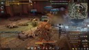Black Desert Варвар (Гайд+Билд)