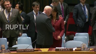 В ООН перед совещанием СБ Россия и Сша обменялись поцелуйчиками