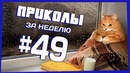 Приколы за неделю #49 | ПОТРАЧЕНО