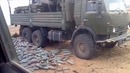 Потрачено – Стальные яйца русской армии
