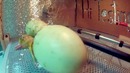 Вылупление утенка – реальное видео из инкубатора