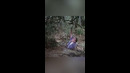 Заблуждения о зыбучих песках