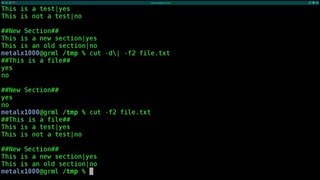 Divide a Line By Tabs Linux Shell Tutorial – BASH