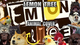Fools Garden – Lemon Tree (Animal Cover)