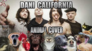 Red Hot Chili Peppers – Dani California (Animal Cover)