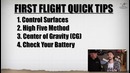 6 Tips For a Successful First Flight – Flite Test