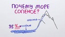 Научпок – Почему море соленое