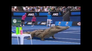 Хищники на корте в промо-ролике Открытого чемпионата Австралии по теннису