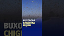 Buxoro viloyatida chigirtkalar hujumi yuz berdi