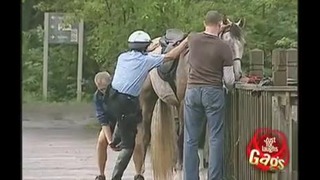 Розыгрыш – Помогите полицейскому забраться на лошадь