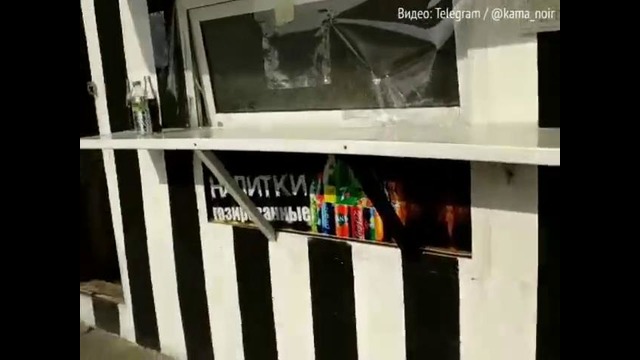 «Маликада» қорни оч ўғрилар ушланди