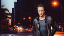 Sting – Fields Of Gold (Official Music Video) HD