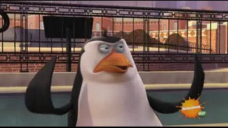 The Penguins Of Madagascar 01-10 Crown Fools