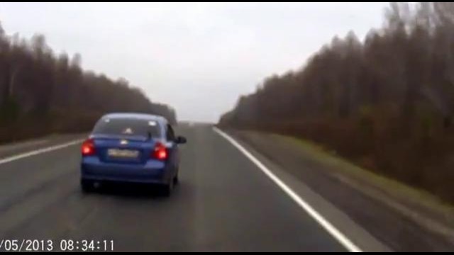 Летающий медведь