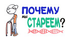 Почему мы стареем? [AsapSCIENCE]