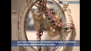 Коллекция нарядов Гурченко. Экскурсия по выставке памяти артистки