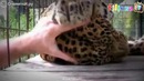 Забавная подборка казусов и веселостей