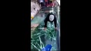 Звук треснувшего стекла на мосту в Китае
