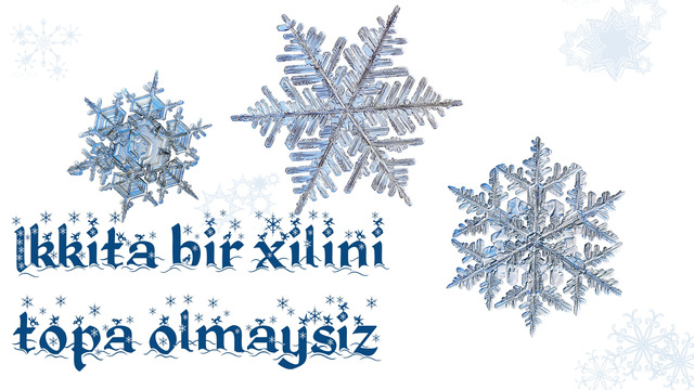 "Ikkita bir xilini topolmaysiz!"