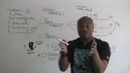 How to Write an Effective Essay – The Introduction