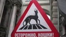 Rossiya haqida faktlar top 20