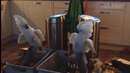 Когда ты слишком удивлен своим собственным великолепием