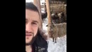 Dubmash: Tirik, olik, shashlik