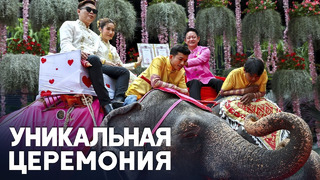 Свадьбу на слонах сыграли влюблённые тайцы в День святого Валентина