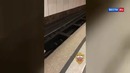 Прыгнул под Поезд в Метро