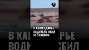 В Кашкадарье водитель Isuzu сбил 95 баранов