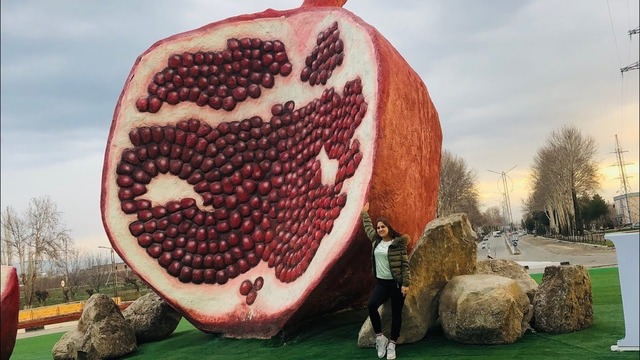 Узбекистан. Узбекский кишлак. Поездка в гости