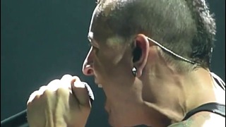 Зал перепел Linkin Park
