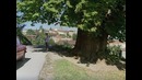 7. Отрывок из к / ф Мимино (Кепка мала, парты для школы) 720p