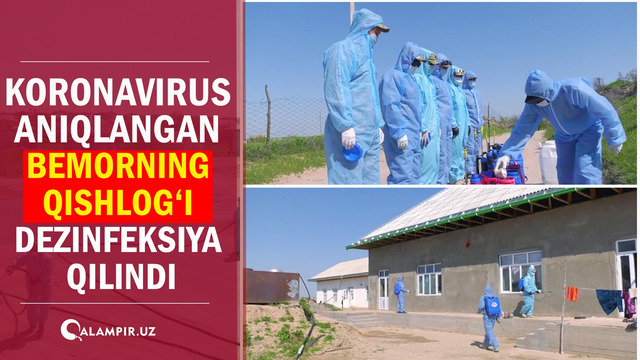 Koronavirus aniqlangan qizning qishlog‘i dezinfeksiya qilindi