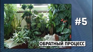 Топ 5 Дай 5 – 10 фактов о КИСЛОРОДЕ, которые ты не знал