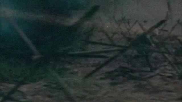 Карл Саган – Бледно-голубая точка (русская версия)