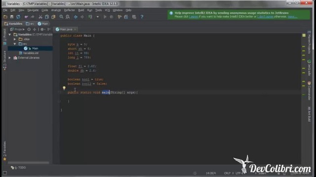 Java SE- Урок 5. Переменные и примитивные типы данных