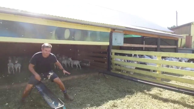 РЕКОРД! Самая большая ферма в России: козёл живет с удовольствием, как доить козу