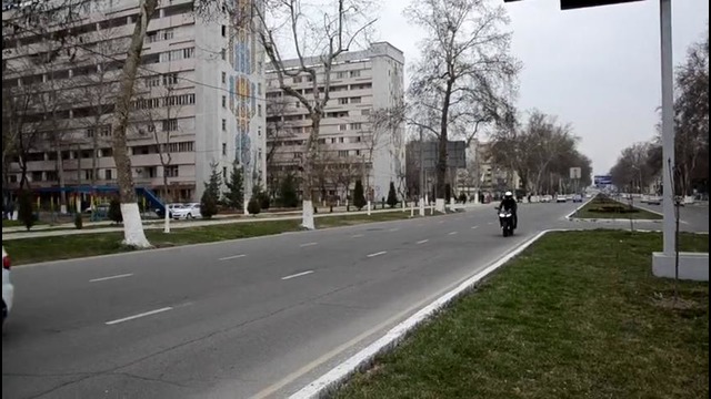 Honda CBR 600 by Monster Energy Tashkent