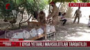 Саховат ва кўмак