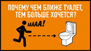 Эффект приближающегося туалета