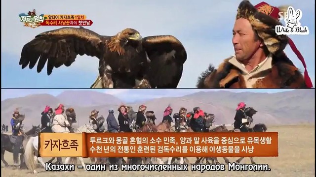 Law of the Jungle in Mongolia – Ep.233 [рус. саб] (5)