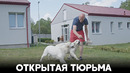 Как заключённых возвращают в общество в Чехии
