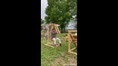 Деревенская тренажерка