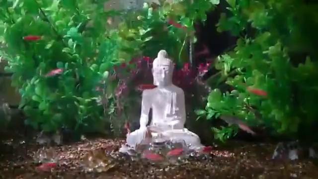 Волшебный аквариум со статуей Будды