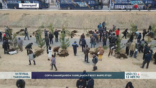 COP14: Samarqandda yashil jamoat bog‘i barpo etildi