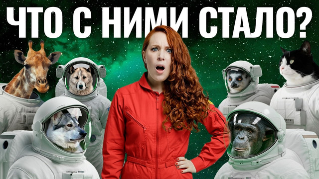 Раньше Гагарина. Истории животных в космосе